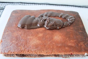 Chocolate Sponge Cake (Amandine)-34