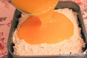 Orange Cheesecake Bars-19