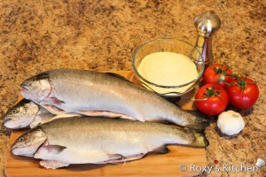 Fried Trout-2