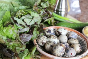 Salad with Smoked Salmon & Quail Eggs - Quail Eggs