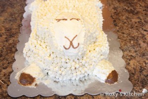Lamb Cake - using a small round tip, pipe the mouth nose and eyes