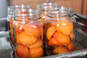 Place the apricots (with the cut side down) into hot sterilized canning jars.