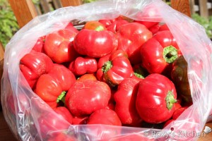 Red Pimento Peppers