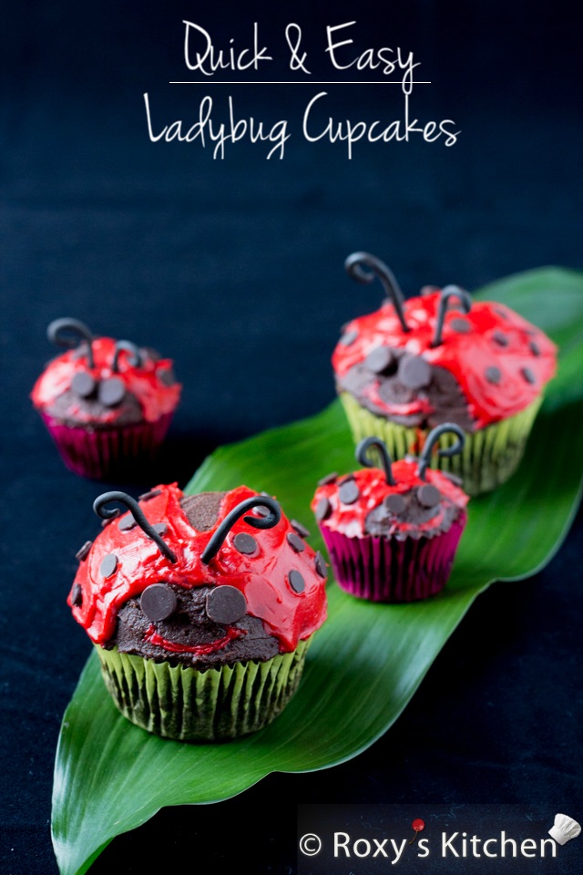 Quick and Easy Ladybug Cupcakes | Roxy's Kitchen #ladybugs #cupcakes #spring #tutorial