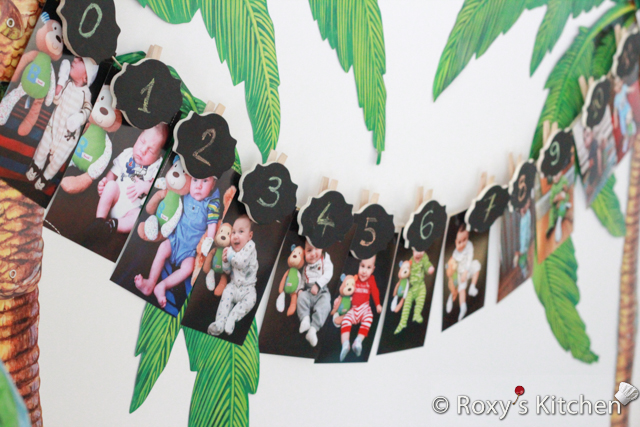Safari Jungle Themed First Birthday Party DIY Decorations - Picture Clothesline to show 0-12 month photos of your little ones
