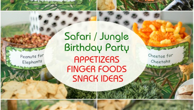 Safari / Jungle Themed First Birthday Party Part II – Appetizers, Finger Foods & Snack Ideas