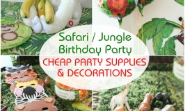 Safari / Jungle Themed First Birthday Party Part - Cheap Party Supplies & Decorations