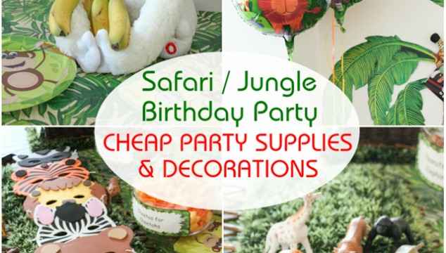 Safari / Jungle Themed First Birthday Party Part - Cheap Party Supplies & Decorations
