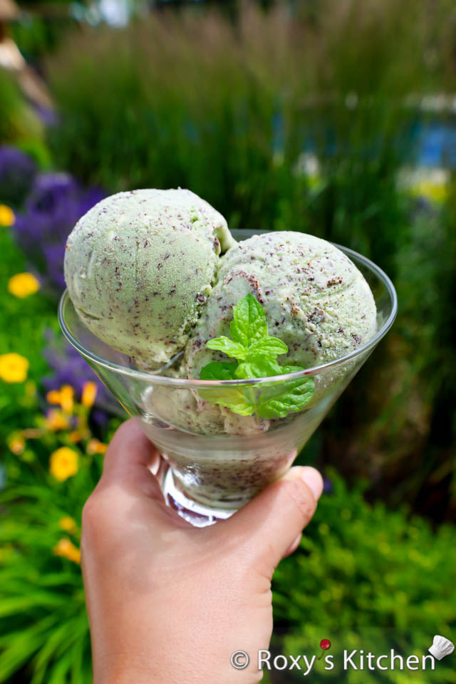 Chocolate Mint Ice Cream - Indulge in the refreshing and delightful flavours of homemade Chocolate Mint Ice Cream. Make it with or without an ice cream maker. 