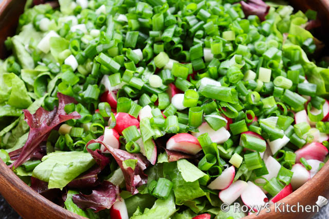 Refreshing Boston-Red Lettuce Salad with Radishes