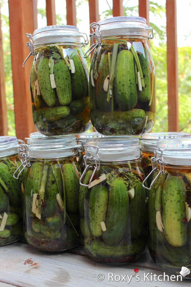 Garlic & Dill Pickles: My family’s old recipe for crunchy pickles which combines traditional pickling methods with a rich blend of spices and the bold flavours of garlic and dill. 