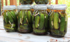 Garlic & Dill Pickles