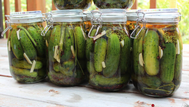 Garlic & Dill Pickles