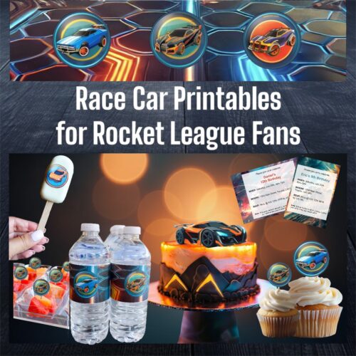 Race Cars for Rocket League Fans