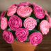 Rose Cupcake Bouquet in a Pot